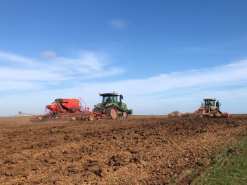 Spring Drilling