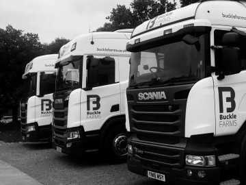 Trucks Lined Up